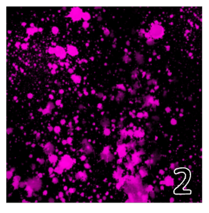 Printed HTV NEON PAINT SPLATTER Pattern Heat Transfer Vinyl 12 x 12 in – MY  VINYL CUT