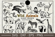 Load image into Gallery viewer, Wild Animal Illustration SVG Bundle