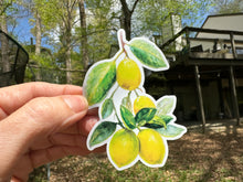 Load image into Gallery viewer, Sticker | 83 | LEMONS | Waterproof Vinyl Sticker | White | Clear | Permanent | Removable | Window Cling | Glitter | Holographic