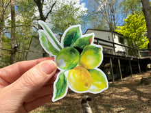 Load image into Gallery viewer, Sticker | 83 | LEMONS | Waterproof Vinyl Sticker | White | Clear | Permanent | Removable | Window Cling | Glitter | Holographic