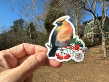 Load image into Gallery viewer, Sticker | 38F | Cedar Waxwing | Waterproof Vinyl Sticker | White | Clear | Permanent | Removable | Window Cling | Glitter | Holographic