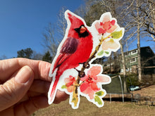 Load image into Gallery viewer, Sticker | 38A | Watercolor Cardinal | Waterproof Vinyl Sticker | White | Clear | Permanent | Removable | Window Cling | Glitter | Holographic