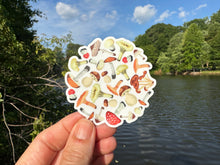 Load image into Gallery viewer, Sticker |  | Mushroom Circle | Waterproof Vinyl Sticker | White | Clear | Permanent | Removable | Window Cling | Glitter | Holographic