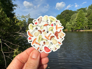 Sticker |  | Mushroom Circle | Waterproof Vinyl Sticker | White | Clear | Permanent | Removable | Window Cling | Glitter | Holographic