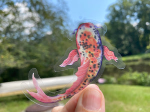 Sticker | Assorted Koi Fish | Waterproof Vinyl Sticker | White | Clear | Permanent | Removable | Window Cling | Glitter | Holographic