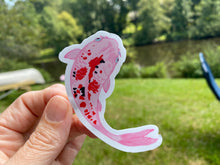 Load image into Gallery viewer, Sticker | Assorted Koi Fish | Waterproof Vinyl Sticker | White | Clear | Permanent | Removable | Window Cling | Glitter | Holographic