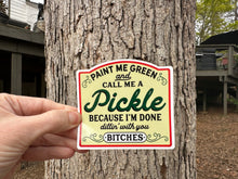 Load image into Gallery viewer, Sticker 9J Paint Me Green and Call Me a Pickle NSFW