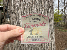 Load image into Gallery viewer, Sticker 9B When Life Gives You Lemons Make Pink Lemonade NSFW
