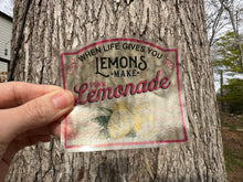 Load image into Gallery viewer, Sticker 9B When Life Gives You Lemons Make Pink Lemonade