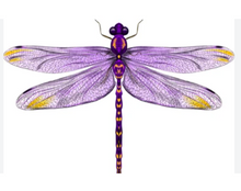 Load image into Gallery viewer, Sticker | 60F | Purple Dragonfly | Waterproof Vinyl Sticker | White | Clear | Permanent | Removable | Window Cling | Glitter | Holographic