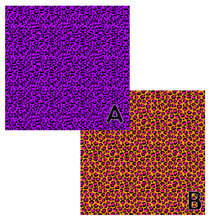 Load image into Gallery viewer, Printed Vinyl, HTV &amp; Waterslide Neon Safari Patterns 12 x 12 inch sheet