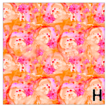 Load image into Gallery viewer, Printed Vinyl JOYFUL SIREN Patterns 12 x 12 inch sheet of Heat Transfer Vinyl (HTV) or Adhesive Vinyl Choose Pattern Choose Type of Vinyl