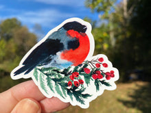 Load image into Gallery viewer, Sticker | 38C | Eastern Towhee | Waterproof Vinyl Sticker | White | Clear | Permanent | Removable | Window Cling | Glitter | Holographic