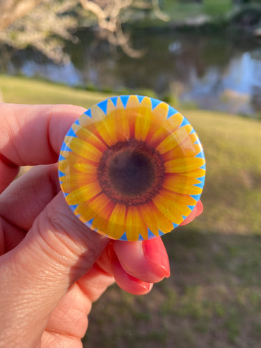 Pin Back Button Sunflower with blue background