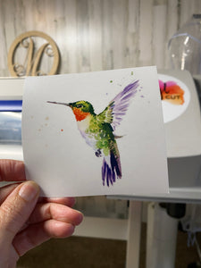 Waterslide Decal Ruby Throated Hummingbird