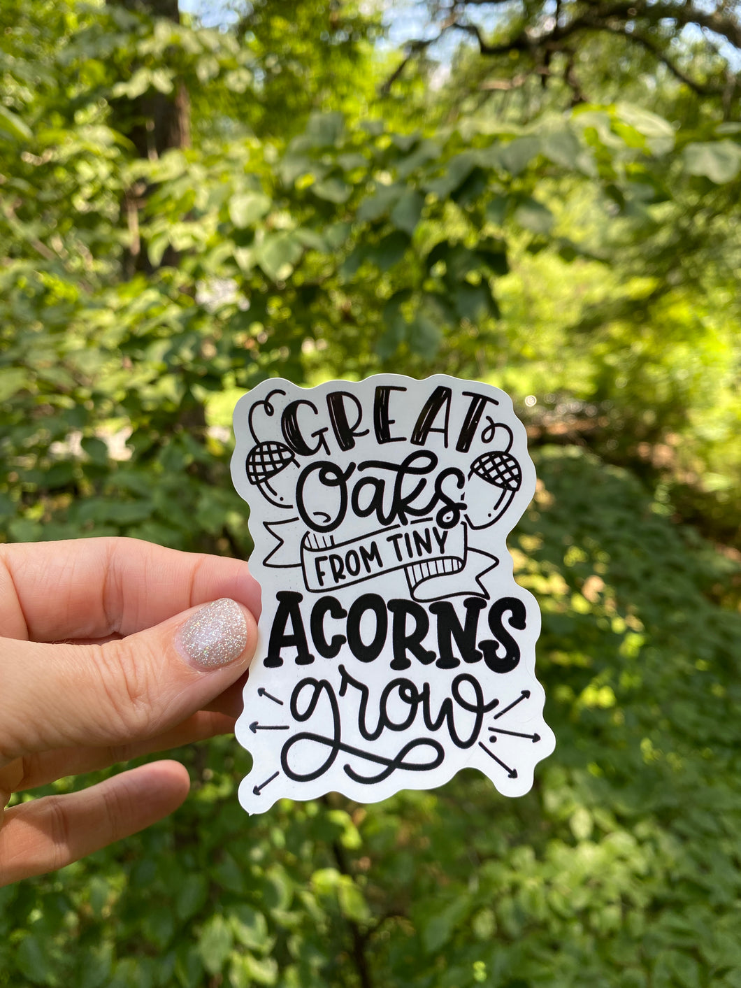 Sticker 1G Great Oaks from Tiny Acorns Grow