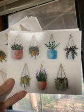 Load image into Gallery viewer, Sticker Sheet Hanging SUCCULENTS 5 x 7 inch Sheet