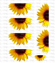 Load image into Gallery viewer, Waterslide Sheet HALF REALISTIC SUNFLOWERS