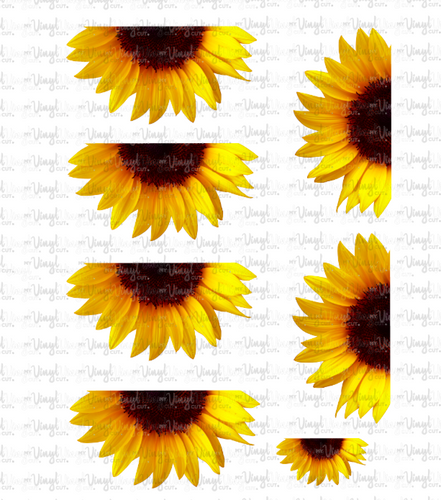 Waterslide Sheet HALF REALISTIC SUNFLOWERS