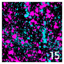 Load image into Gallery viewer, Printed HTV NEON PAINT SPLATTER on Black Background