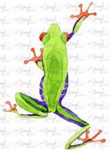 Load image into Gallery viewer, Waterslide Decal Tree Frog3