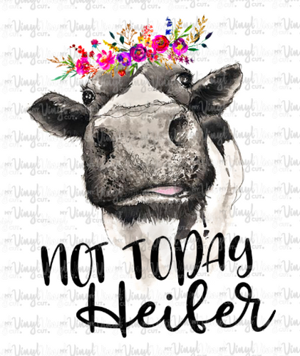 Waterslide Decal Not Today Heifer