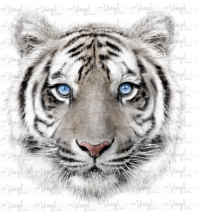 Waterslide Decal White Tiger