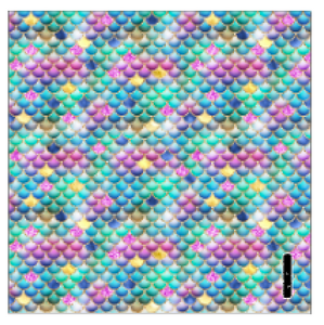 Printed HTV MULTICOLOR MERMAID SCALES Pattern 12 x 12 inch sheets