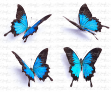 Load image into Gallery viewer, Waterslide Decal Set of 4 Blue Butterflies