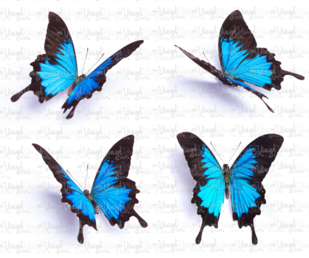 Waterslide Decal Set of 4 Blue Butterflies
