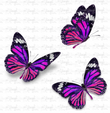 Load image into Gallery viewer, Waterslide Decal Set of 3 Magenta Butterflies 5 inch sheet