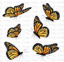 Load image into Gallery viewer, Waterslide Decal Set of 6 (7&quot;) Orange Monarch Butterflies