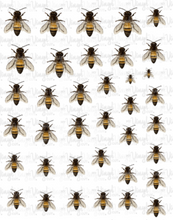 Load image into Gallery viewer, Waterslide Sheet Honey Bees 8 x 10 inch