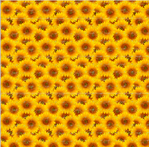 Printed Adhesive Vinyl Realistic Sunflower Pattern 12 x 12 inch sheet