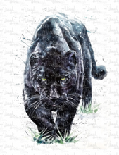 Load image into Gallery viewer, Waterslide Decal Black Panther Jaguar Jungle Cat