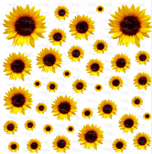 Load image into Gallery viewer, Sticker Sheet Sunflowers Full 12 x 12 inch Sheet