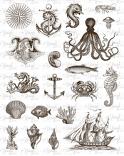 Load image into Gallery viewer, Waterslide Sheet of Decals VINTAGE NAUTICAL Full Sheet