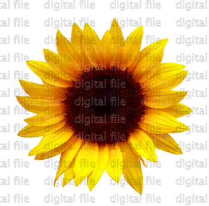 Digital Download Sunflower