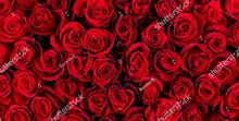 Load image into Gallery viewer, Printed Adhesive Vinyl RED ROSES Pattern 12 x 6 sheet