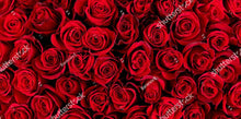 Load image into Gallery viewer, Printed HTV RED ROSES Pattern Heat Transfer Vinyl 14 x 7 inch sheet